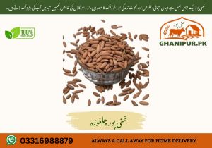 pine nuts (chilgoza)